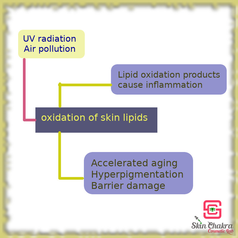 impact od UV radiation and air pollution on skin lipids
