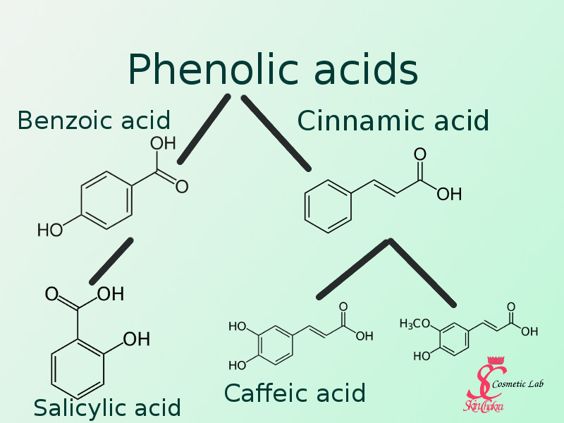 Plant Extracts 101 Part V Phytochemicals In Cosmetics Polyphenols 