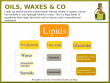 lipids infographics