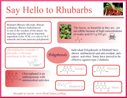 Rhubarb infographic