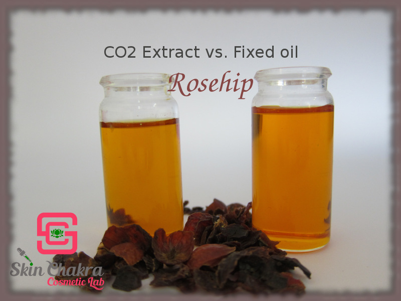 Rose hip oil and CO2 extract