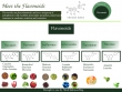 Flavonoids infographic