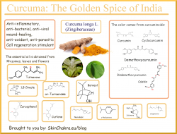 curcuma infographic