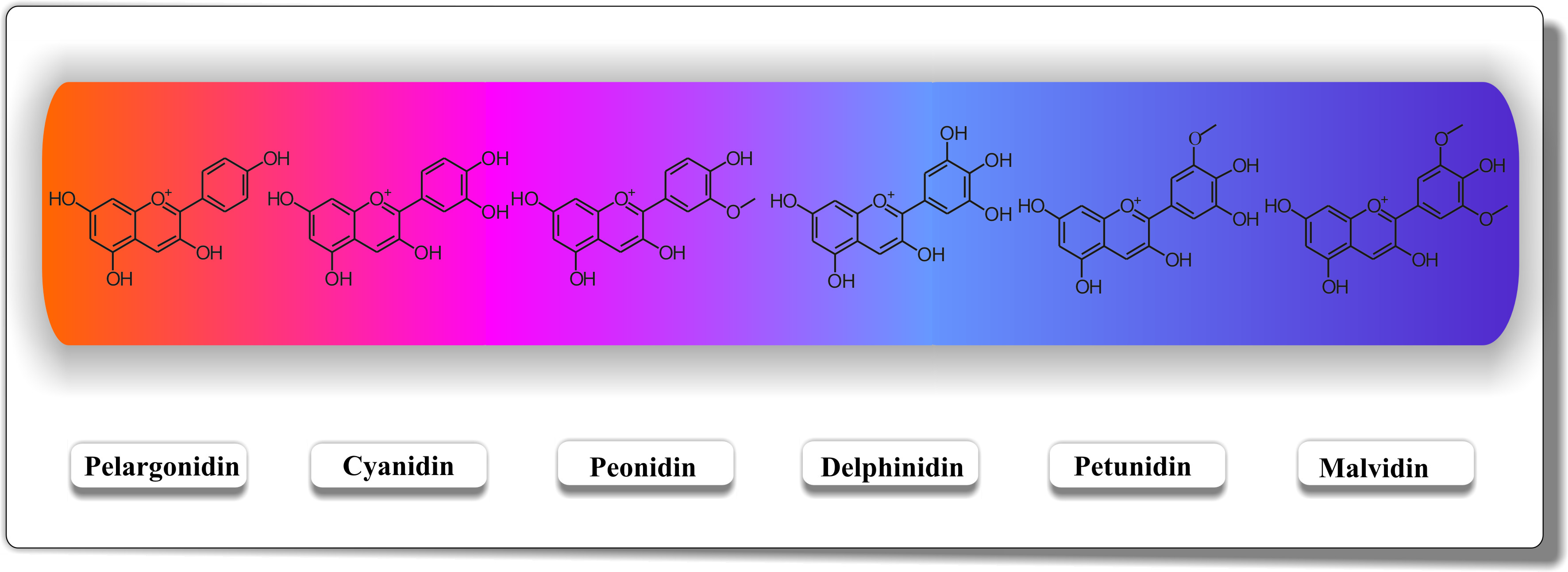 pH dependancy of colour in anthocyanins
