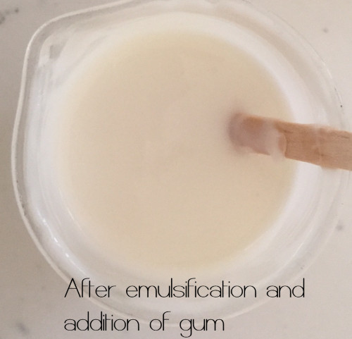 emulsion after homogenization and addition of gum