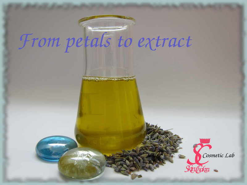 How to make herbal extracts with Blendia