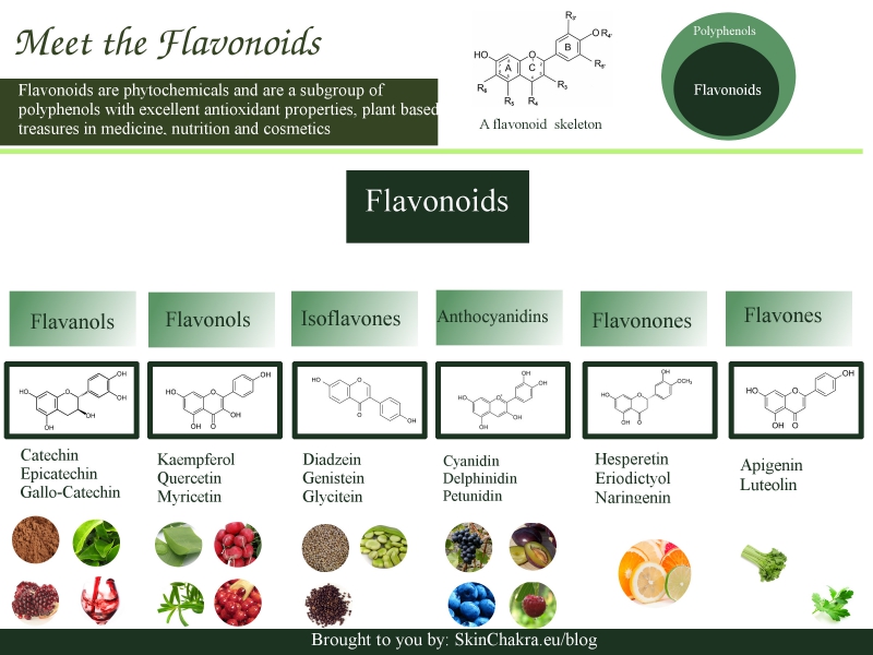 Polyphenol Chart