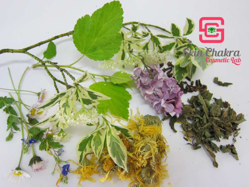 how to extract herbs for natural cosmetics