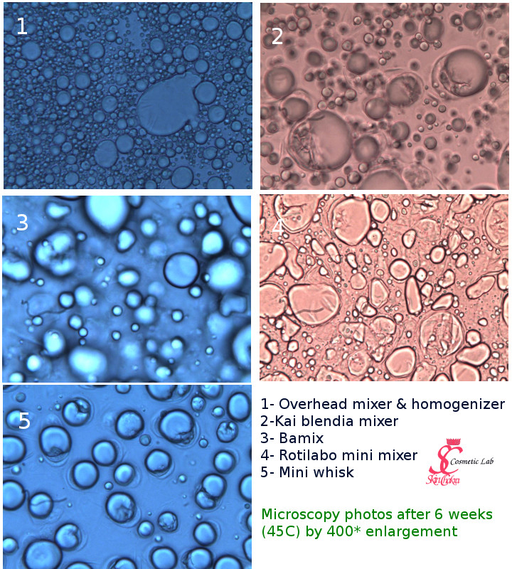 https://skinchakra.eu/blog/uploads/Cosmetic_Chemistry/Microscopy-45C-6weeks.jpg