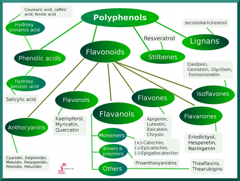Polyphenol Chart