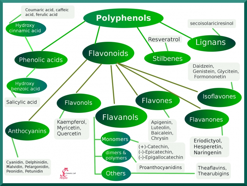 Plant Extracts 101 Part V Phytochemicals In Cosmetics Polyphenols Swettis Beauty Blog