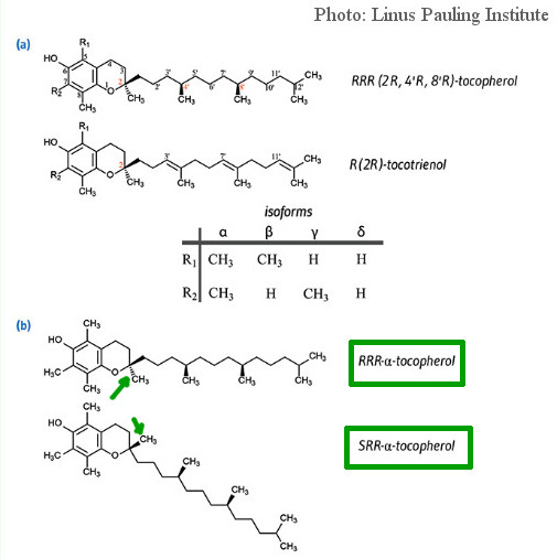 vitamin e structure