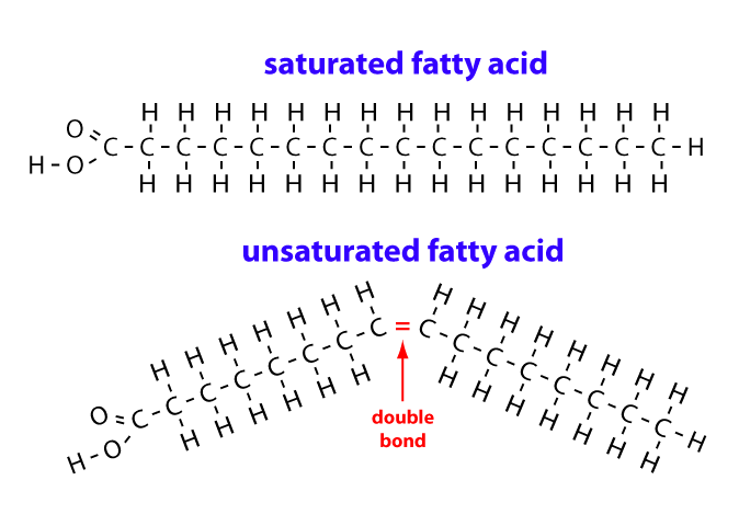 saturated and unsaturated fatty acids in plant oils