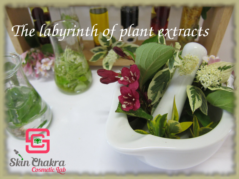 How to work with plant extracts in natural cosmetics