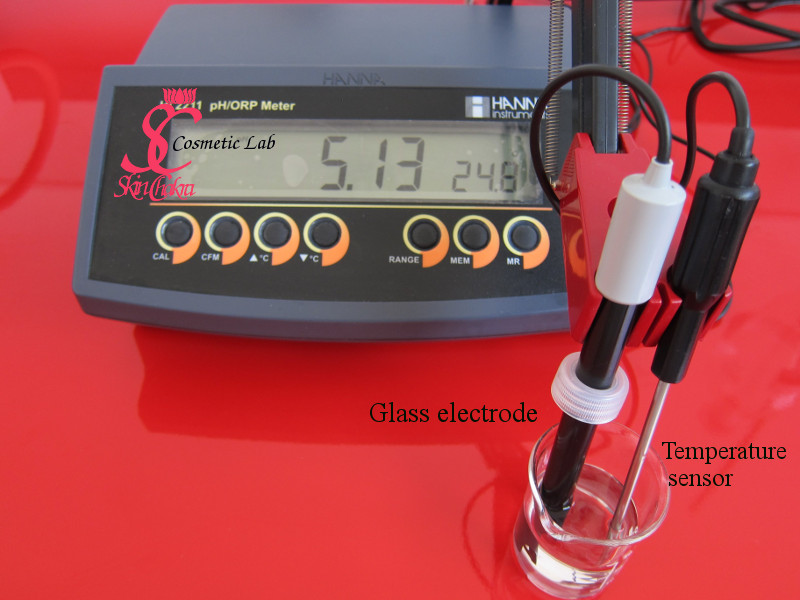 glass electrode and temperature sensor