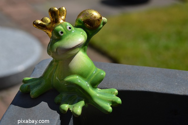 prince-frog