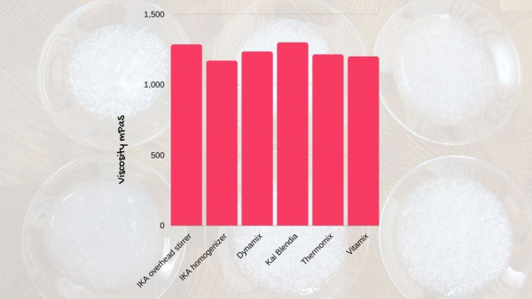 viscosity of gum dispersion- artisanal gum dispersion