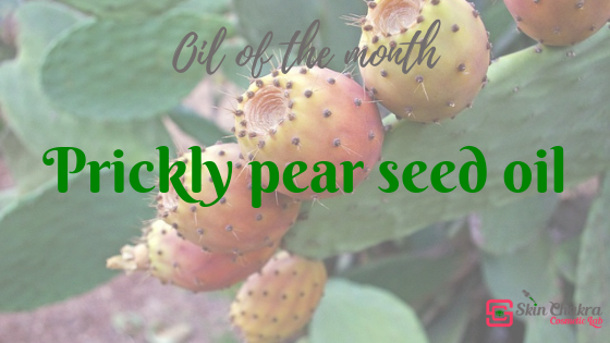 oil of the month prickly pear seed oil